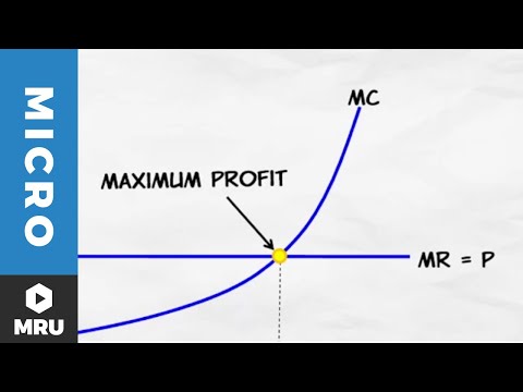 Profit Maximization - Dictionary Of Economics