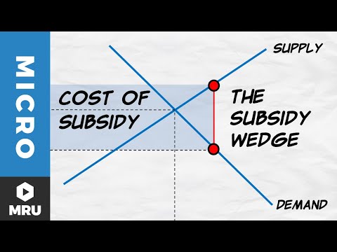 Subsidies | Marginal Revolution University